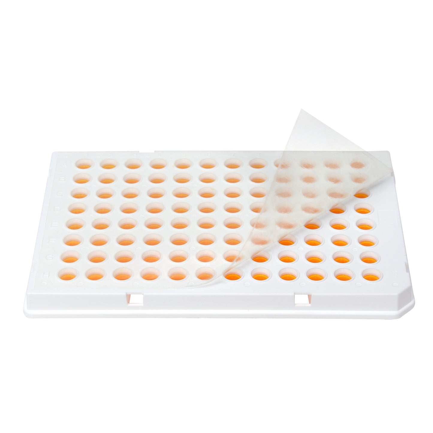 qPCR Optical Sticky Adhesive Film